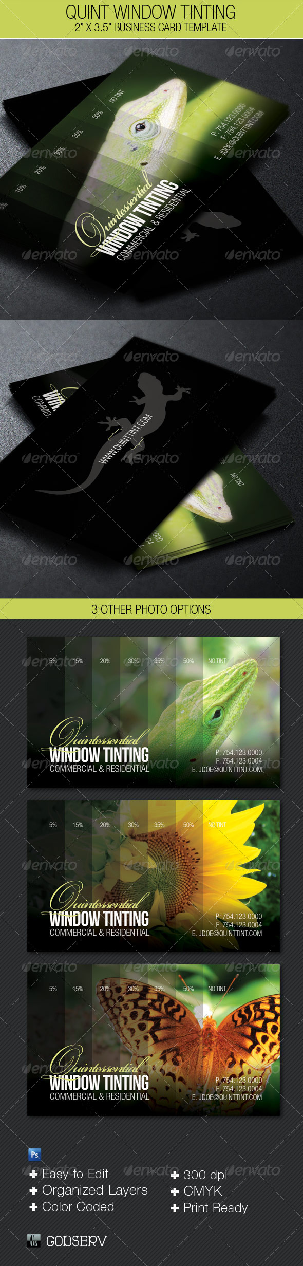 Quint Window Tinting Business Card Template