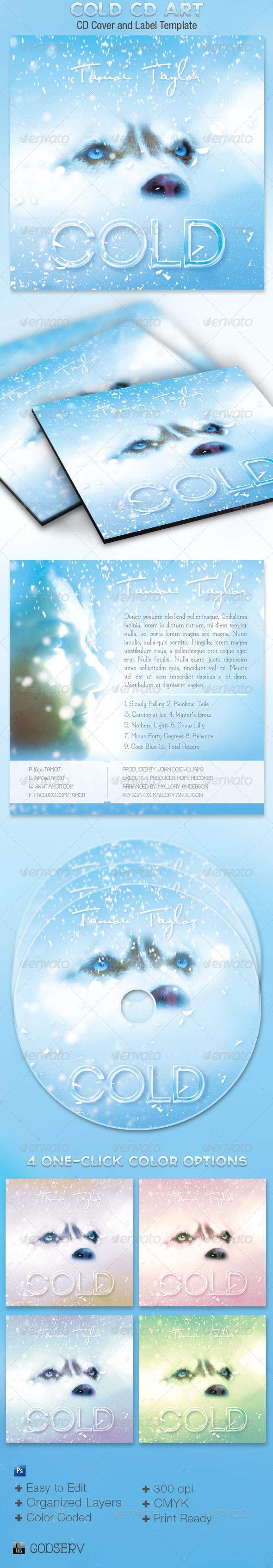 Cold CD Artwork Template