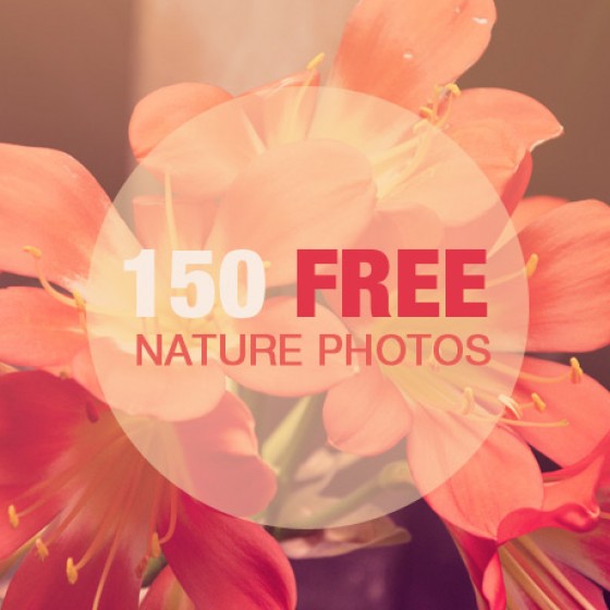 150 Free Nature Photos Bundle