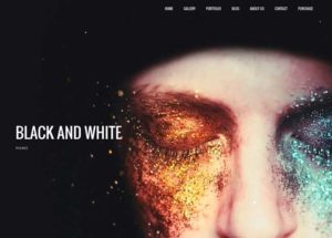 5 Awesome Photography WordPress Themes